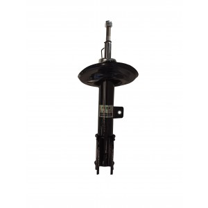 ΑΜΟΡΤΙΣΕΡ (ΜΠΡΟΣΤΑ ΑΡΙΣΤΕΡΟ) CITROEN C4 II 09>