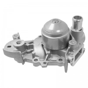 ΑΝΤΛΙΑ ΝΕΡΟΥ - RENAULT