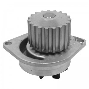 ΑΝΤΛΙΑ ΝΕΡΟΥ - CITROEN