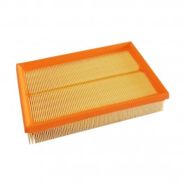 AIR FILTER - FORD